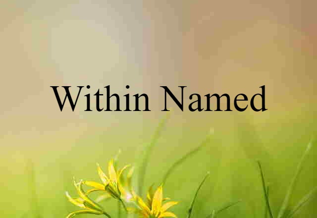 Within Named (noun) Definition, Meaning & Examples