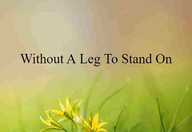 Without A Leg To Stand On (noun) Definition, Meaning & Examples