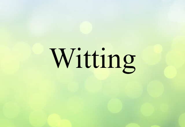 Witting (noun) Definition, Meaning & Examples