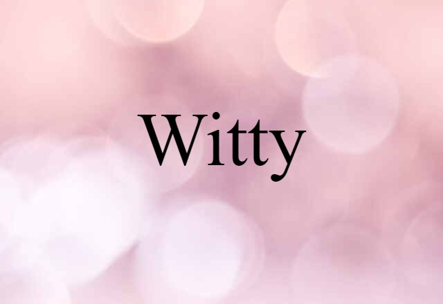 Witty (noun) Definition, Meaning & Examples