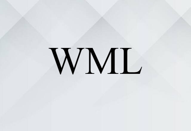 WML (noun) Definition, Meaning & Examples