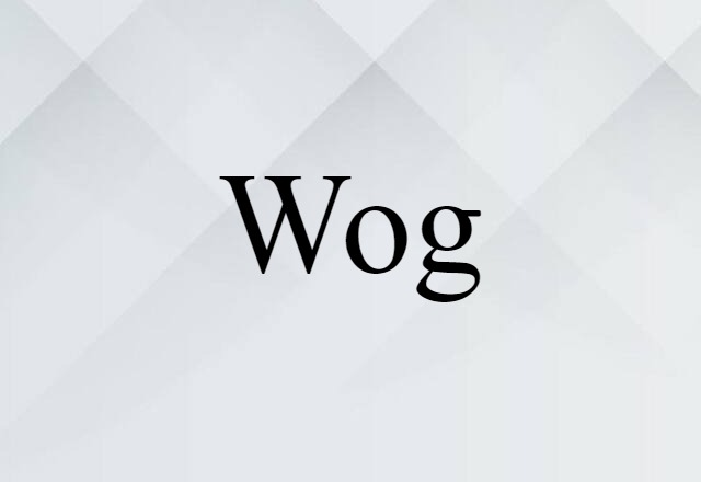 Wog (noun) Definition, Meaning & Examples