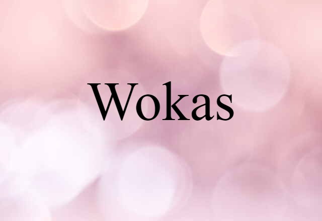 Wokas (noun) Definition, Meaning & Examples