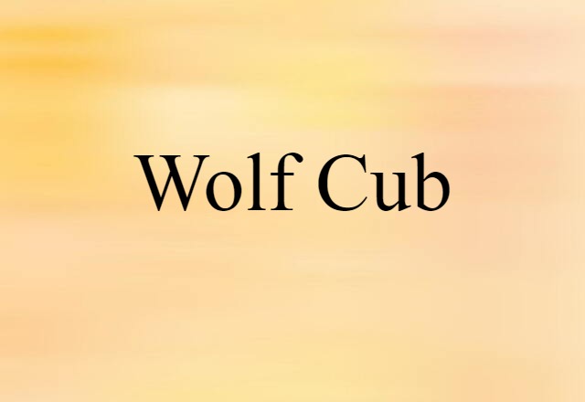 wolf cub