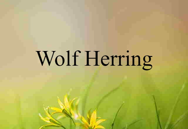 wolf herring