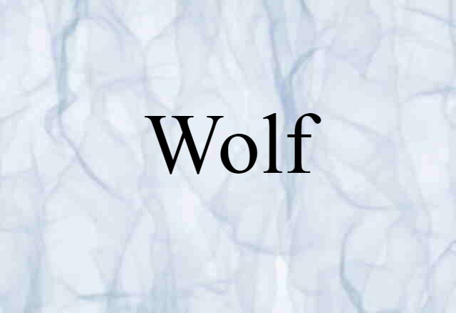 Wolf (noun) Definition, Meaning & Examples