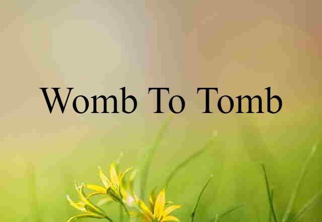 womb-to-tomb