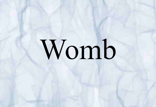 womb