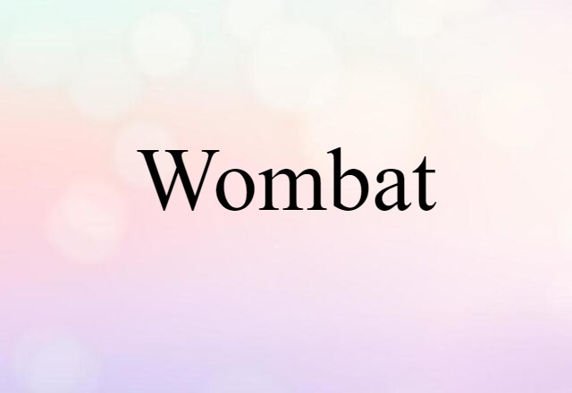 wombat