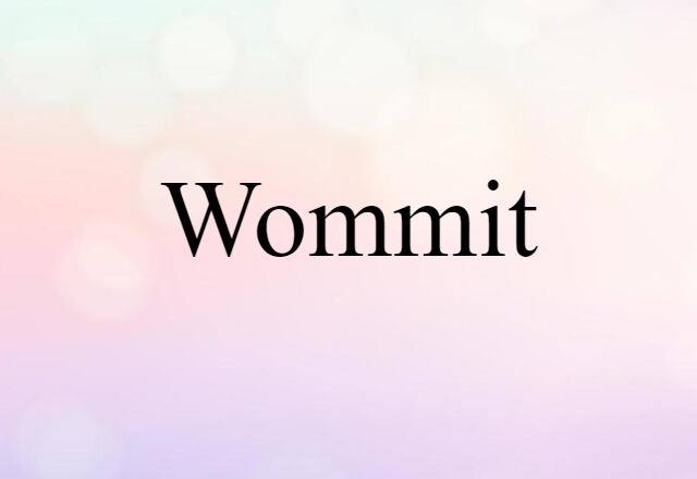 Wommit (noun) Definition, Meaning & Examples