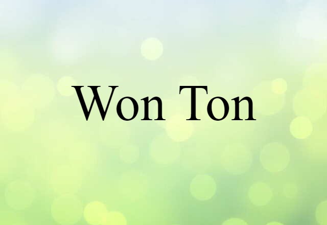 won ton