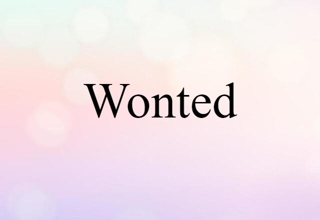 Wonted (noun) Definition, Meaning & Examples