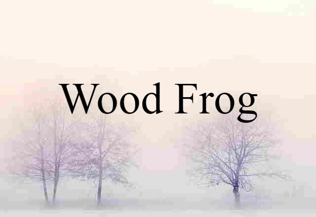 Wood Frog (noun) Definition, Meaning & Examples