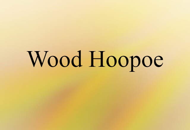 wood hoopoe