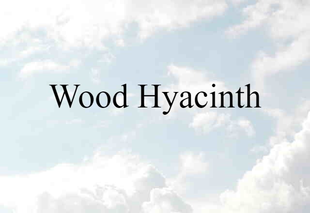 Wood Hyacinth (noun) Definition, Meaning & Examples