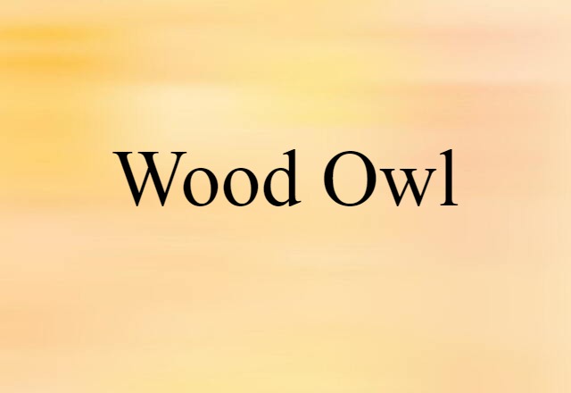 wood owl