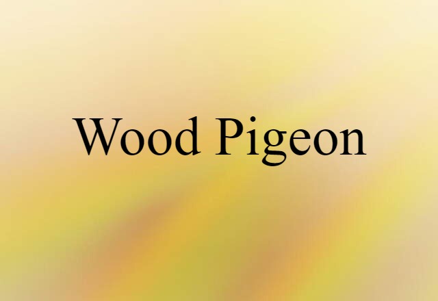 wood pigeon