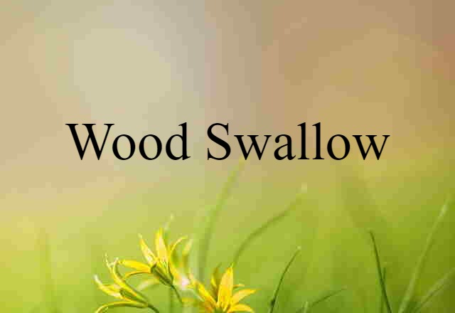 wood-swallow