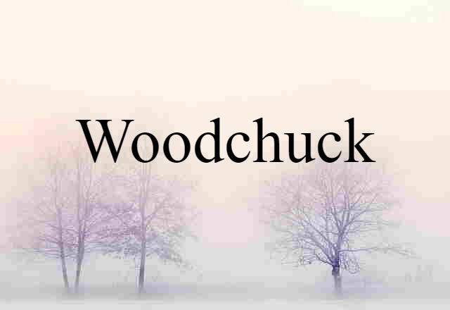 woodchuck