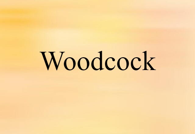 woodcock