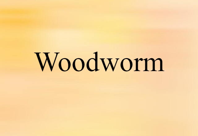 Woodworm (noun) Definition, Meaning & Examples