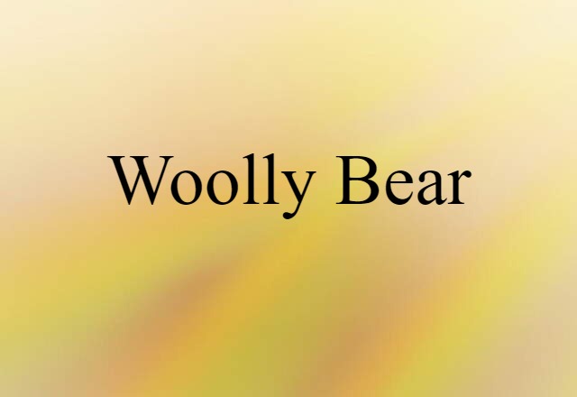 woolly bear