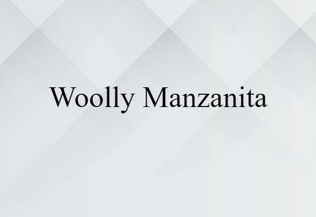 Woolly Manzanita (noun) Definition, Meaning & Examples