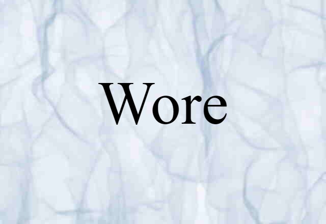 Wore (noun) Definition, Meaning & Examples