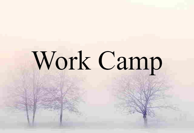 Work Camp (noun) Definition, Meaning & Examples