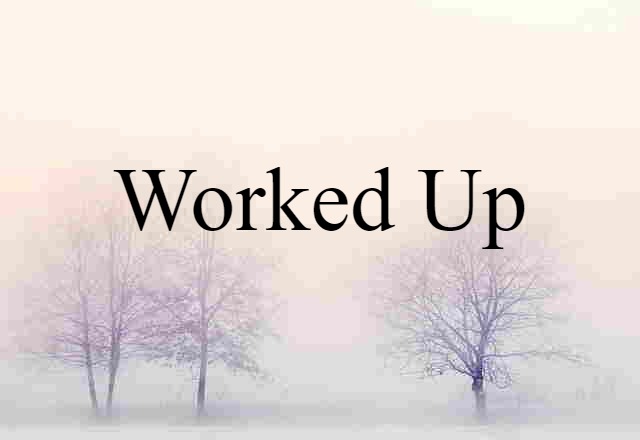 Worked-up (noun) Definition, Meaning & Examples