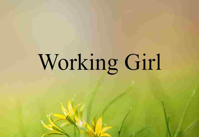 Working Girl (noun) Definition, Meaning & Examples