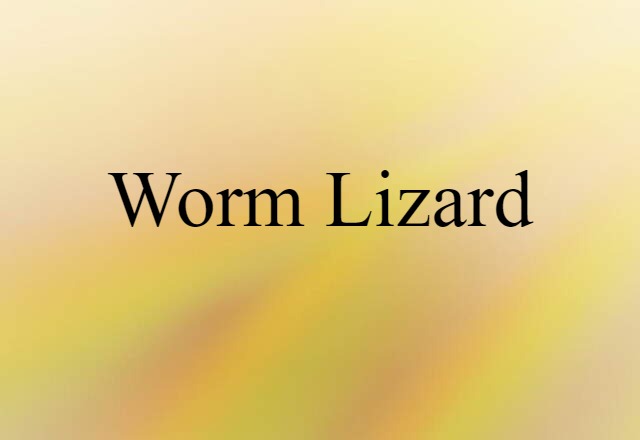 worm lizard