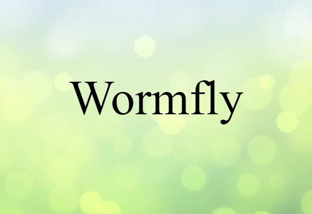 Wormfly (noun) Definition, Meaning & Examples