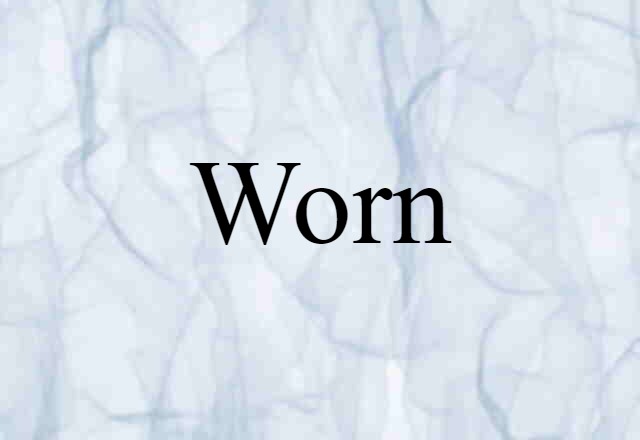 Worn (noun) Definition, Meaning & Examples