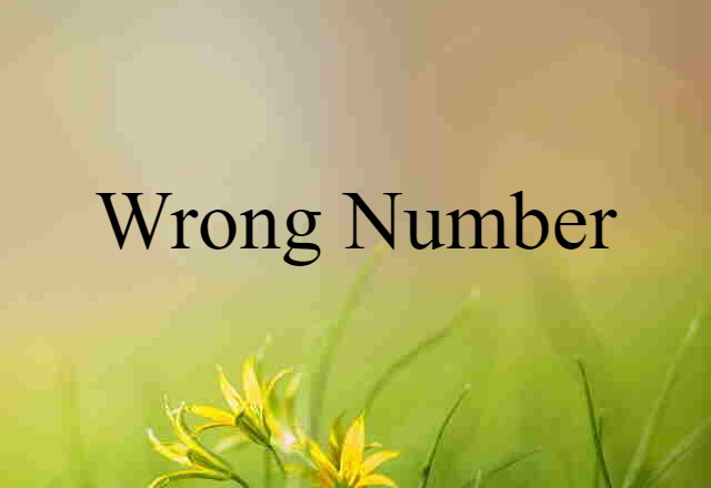 Wrong Number (noun) Definition, Meaning & Examples