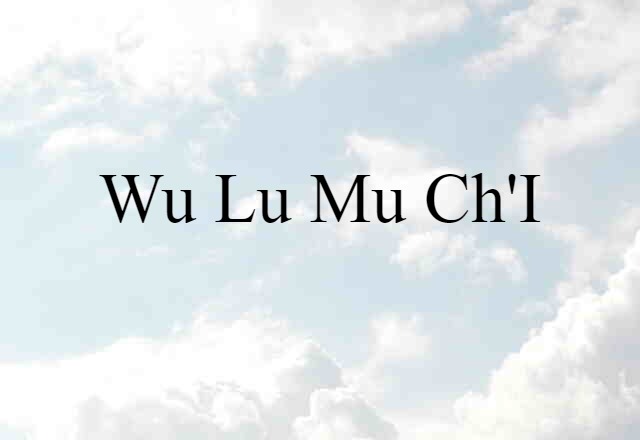 Wu-lu-mu-ch'i (noun) Definition, Meaning & Examples