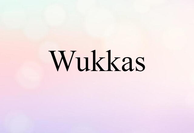 Wukkas (noun) Definition, Meaning & Examples