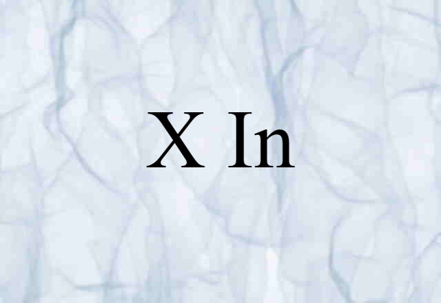 X In (noun) Definition, Meaning & Examples