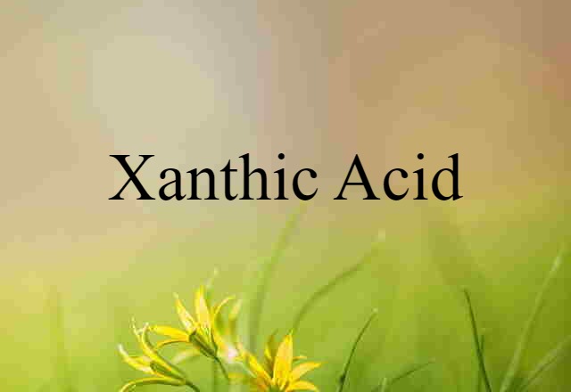 Xanthic Acid (noun) Definition, Meaning & Examples