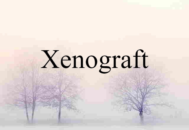 Xenograft (noun) Definition, Meaning & Examples