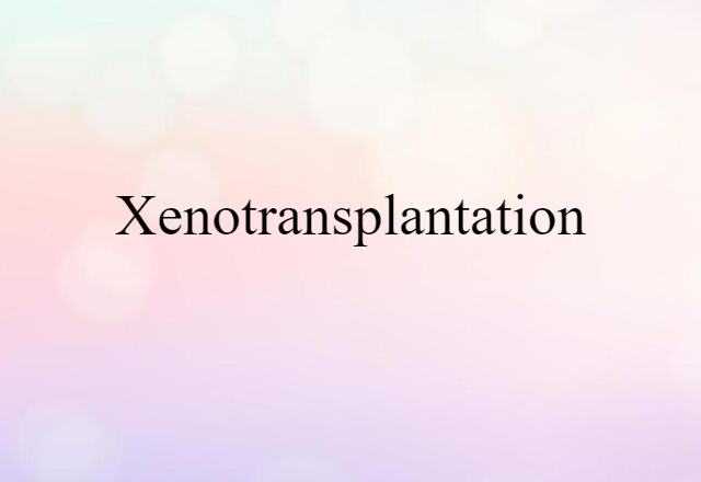 Xenotransplantation (noun) Definition, Meaning & Examples