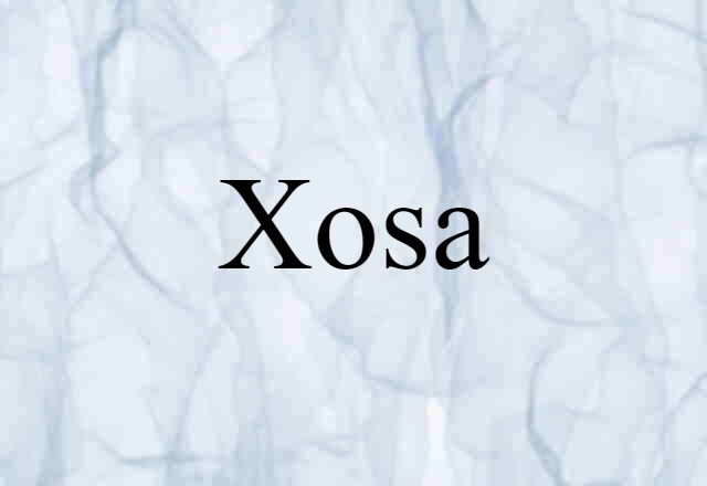 Xosa (noun) Definition, Meaning & Examples