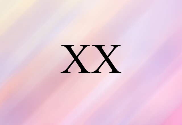 XX (noun) Definition, Meaning & Examples