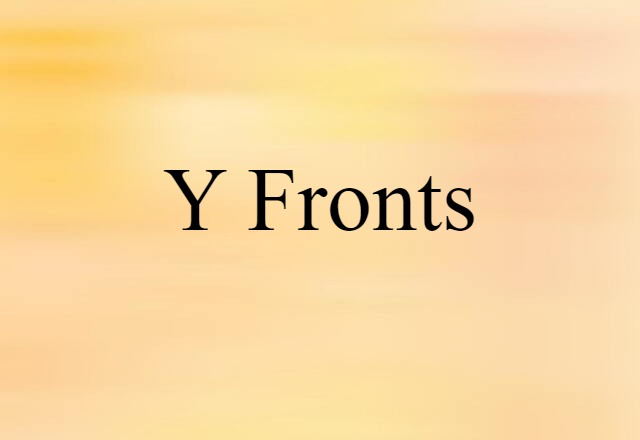 Y-fronts (noun) Definition, Meaning & Examples