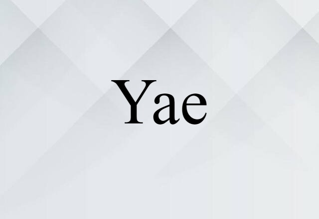 Yae (noun) Definition, Meaning & Examples