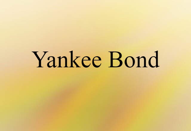 Yankee Bond (noun) Definition, Meaning & Examples