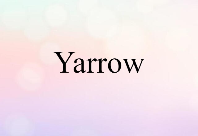 yarrow