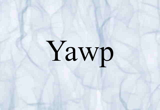 Yawp (noun) Definition, Meaning & Examples