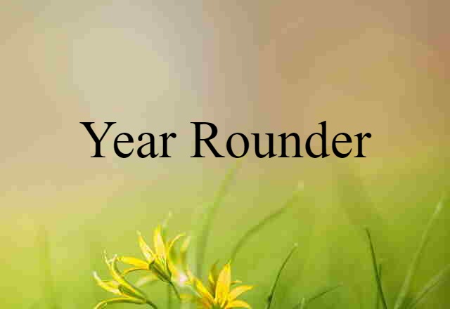 year rounder