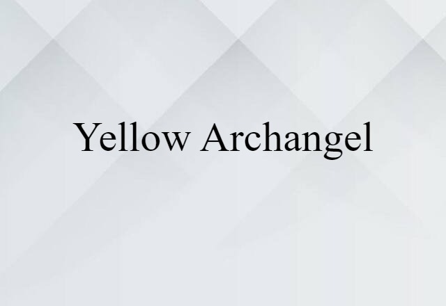 yellow archangel